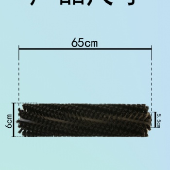 容恩洗地機(jī)配件 650滾刷黑色 R56BT R-QQR 掃地機(jī)刷子 原廠 原裝