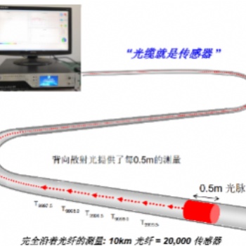 倉儲貨架安全在線監測系統TMP-ANG-S002