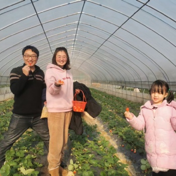 長沙春游親子戶外植樹踏青賞花農家樂野炊一日游