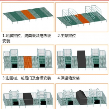 雙體母豬產(chǎn)床保育一體