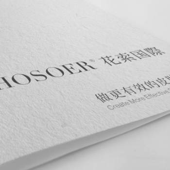 HOSOER花索|開一家小型美容店掙錢的方法