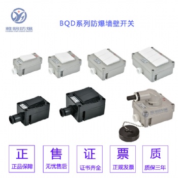 SW-10防爆墻壁開關一開二開三開明裝暗裝防爆照明開關