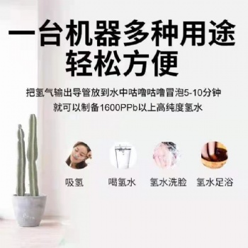 廣州氫氣呼吸機 氫氧霧化器生產制造供應廠家 家用呼吸機品牌鴻福康源