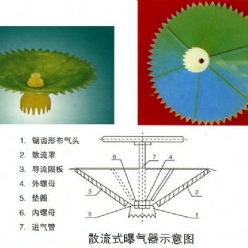 杭州鋼鐵集團(tuán) 散流式曝氣器 結(jié)構(gòu)簡單 價格低