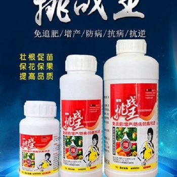 種草莓提苗使用挑戰(zhàn)王腐植酸水溶肥