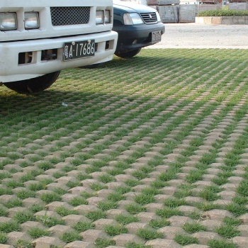 唐山草坪磚/停車位植草磚/井字植草磚