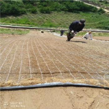 黑龍江省 植物纖維毯 植草毯 椰絲毯 邊坡綠化 屋頂綠化 花園綠化