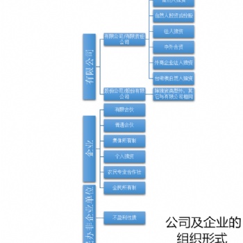 公司及企業的組織形式