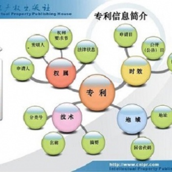 專利分析 科技部西南信息中心查新中心