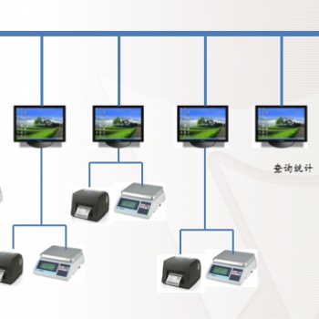 稱重標簽打印軟件,電子秤打印軟件