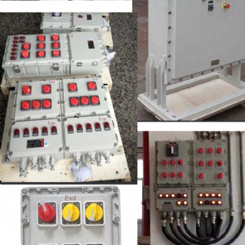 系列防爆動(dòng)力檢修配電箱