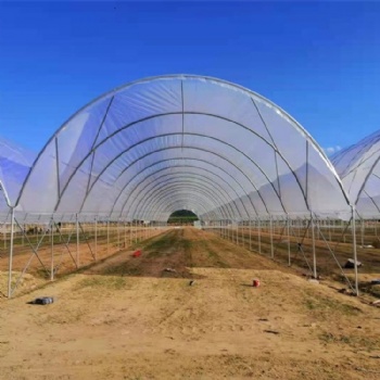 葡萄避雨棚櫻桃避雨棚藍(lán)莓避雨棚水果棚搭建施工及配套資材配件