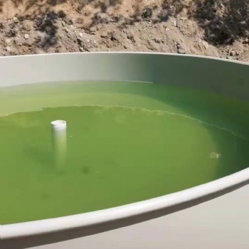 PP板pe板耐腐蝕耐酸堿聚丙烯pp水產養殖箱電解槽電鍍水箱pp酸洗槽