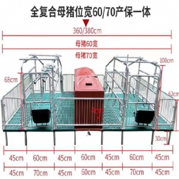 加高母豬產床 保育床兩用設備 河北廠家