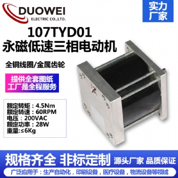 107TYD01永磁低速三相電動機