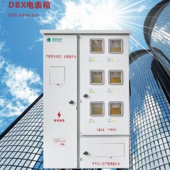 浙江杭升科技DBX電表箱