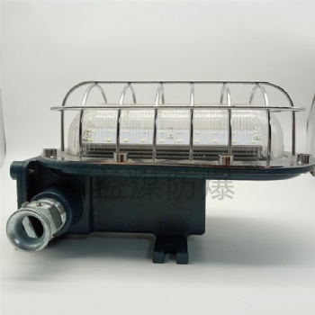 礦用隔爆型LED支架燈 液壓支架移動照明燈 DGC18/127L（A）