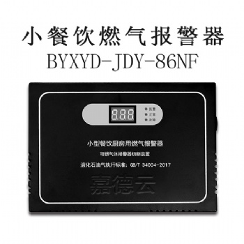 嘉德云BYXYD-JDY-86NF燃?xì)馓綔y器