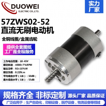 57ZWS02-52直流無刷電動(dòng)機(jī)