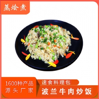 商用即食快餐成品菜 200g方便飯 波蘭牛肉炒飯料理包廠價(jià)供應(yīng)