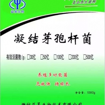 凝結芽孢桿菌畜牧養殖水產養殖專用飼料添加劑改善腸道抗應激可代工