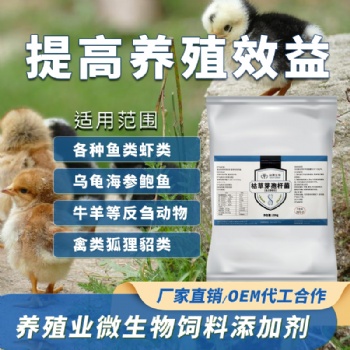 益昊生物1000億2000億枯草芽孢桿菌飼料添加劑