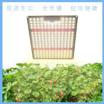 LED量子板植物生長燈