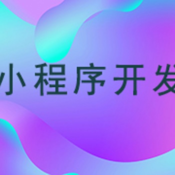 武漢小程序開發(fā)——大劉信息