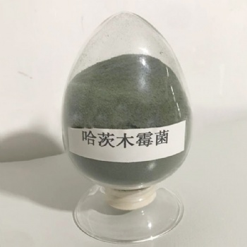 農(nóng)業(yè)菌劑哈茨木霉菌 防土傳病害真菌感染 源頭工廠益昊生物