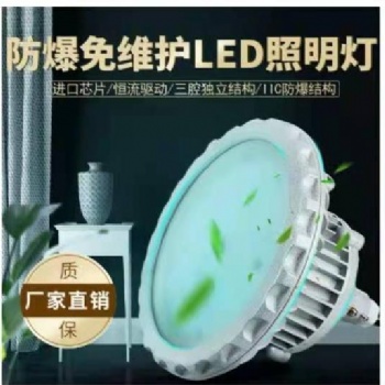 防爆免維護(hù)LED照明燈